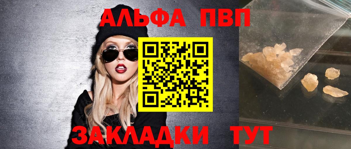 A-PVP СК КРИС Сыктывкар