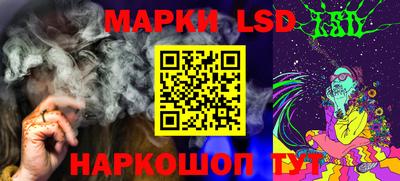 Альфа ПВП Новозыбков