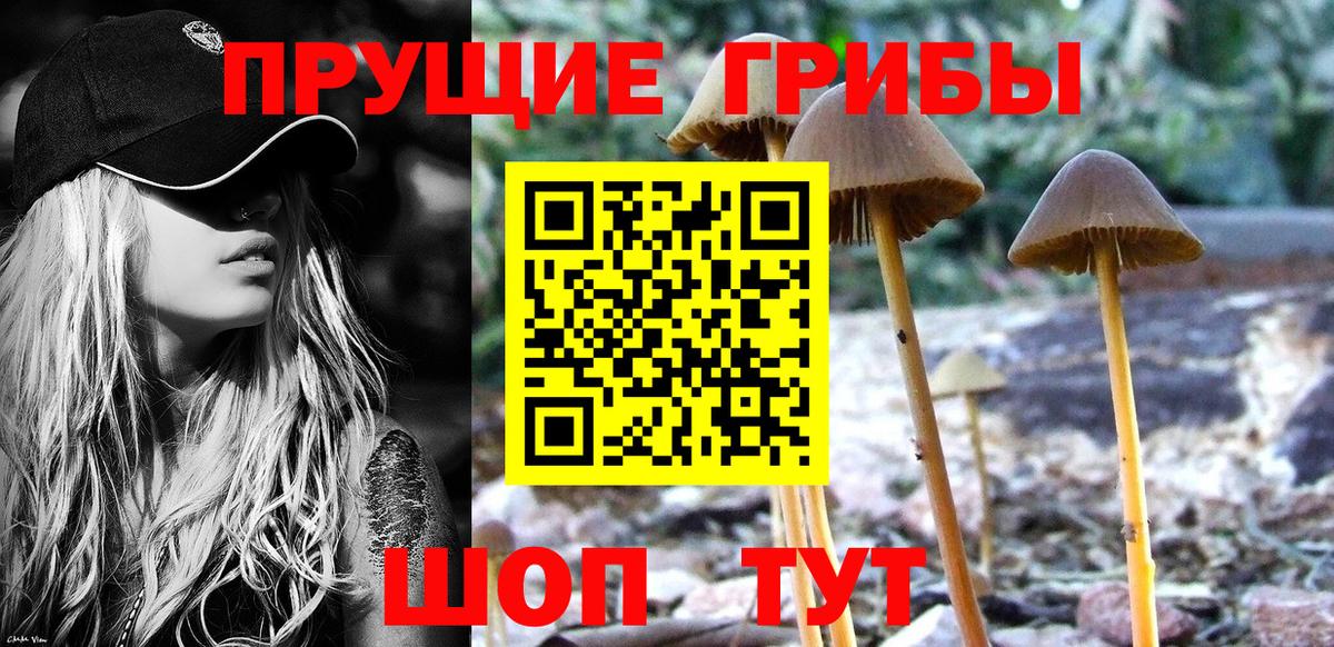 Сыктывкар  Псилоцибиновые грибы ЛСД  Псилоцибиновые грибы прущие грибы  Вход с VPN 
